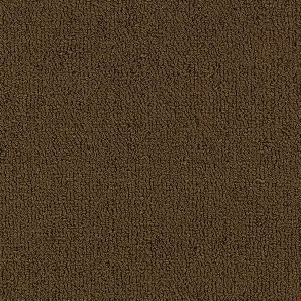 Shaw Color Accents: Coffee 24" x 24" Carpet Tile 54462 62750