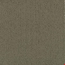 Shaw Color Accents: Taupe 24