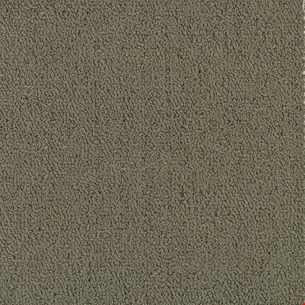 Shaw Color Accents: Taupe 24" x 24" Carpet Tile 54462 62760
