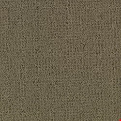 Shaw Color Accents: Portabella 24