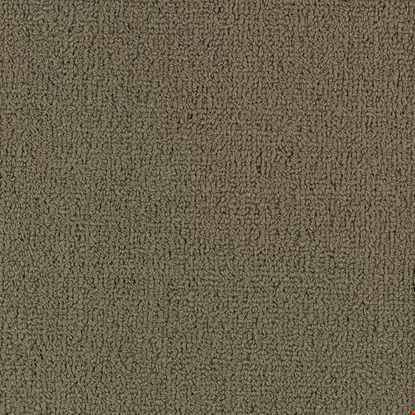 Shaw Color Accents: Portabella 24" x 24" Carpet Tile 54462 62761