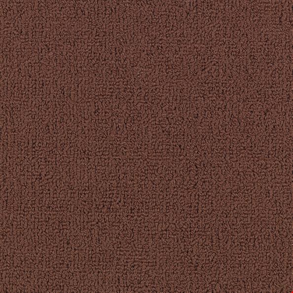 Shaw Color Accents: Mahogany 24" x 24" Carpet Tile 54462 62804
