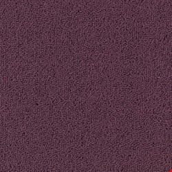 Shaw Color Accents: Purple Heart 24