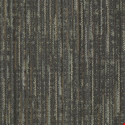 Shaw Enlighten: Embrace Wisdom 24