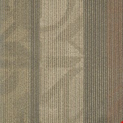 Shaw Feedback: Receiver 24