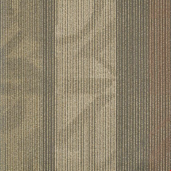 Shaw Feedback: Receiver 24" x 24" Carpet Tile 54565 103