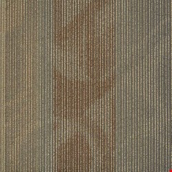 Shaw Feedback: Transmitter 24