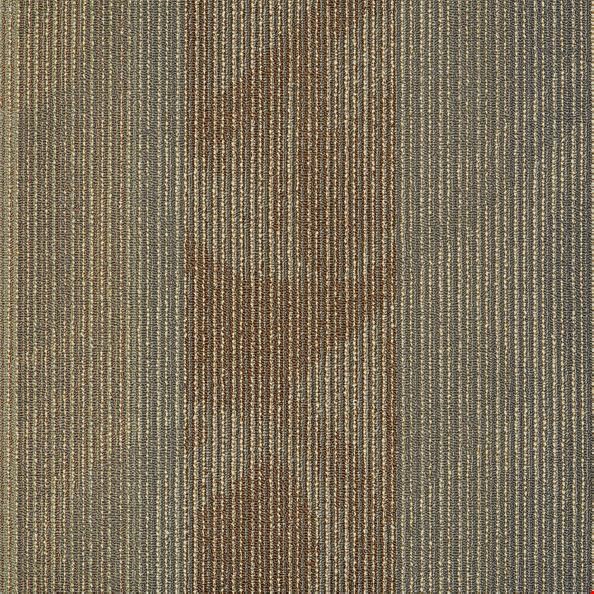Shaw Feedback: Transmitter 24" x 24" Carpet Tile 54565 201