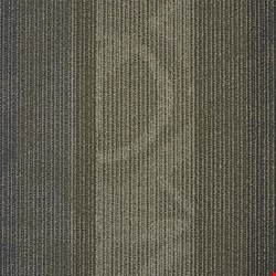 Shaw Feedback: Circuit 24