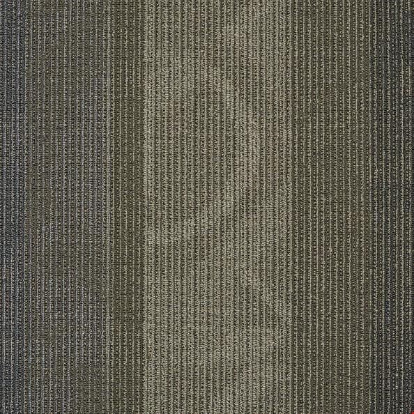 Shaw Feedback: Circuit 24" x 24" Carpet Tile 54565 301