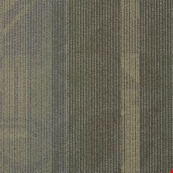 Shaw Feedback: Signal 24