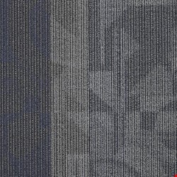 Shaw Feedback: Amplifier 24