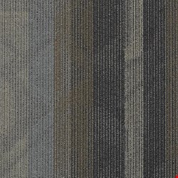 Shaw Feedback: Velocity 24