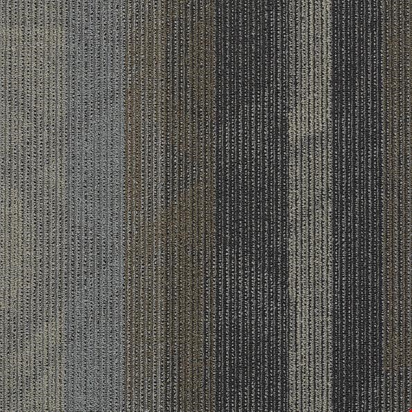 Shaw Feedback: Velocity 24" x 24" Carpet Tile 54565 501