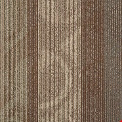 Shaw Feedback: Frequency 24