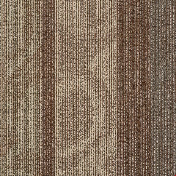 Shaw Feedback: Frequency 24" x 24" Carpet Tile 54565 700