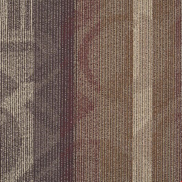 Shaw Feedback: Echo 24" x 24" Carpet Tile 54565 902