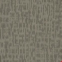 Shaw Genius: Masterful 24