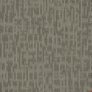 Shaw Genius: Masterful 24" x 24" Carpet Tile 54844 44505