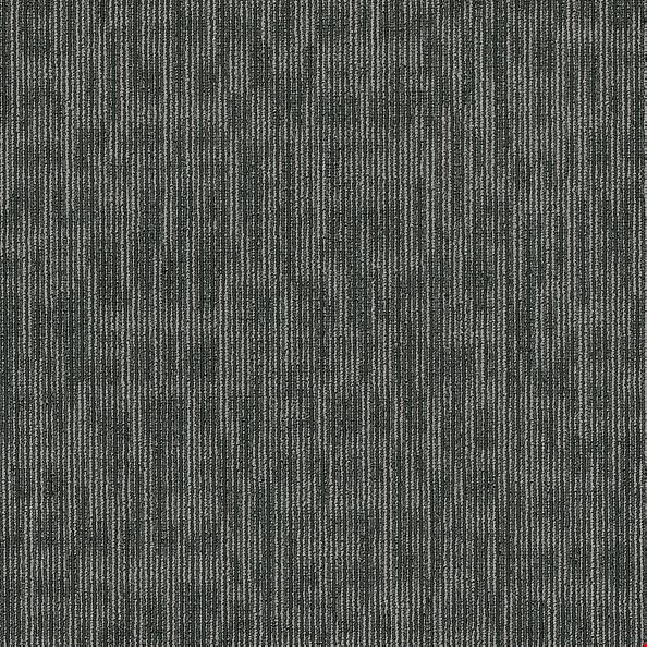 Shaw Genius: Sharp 24" x 24" Carpet Tile 54844 44515