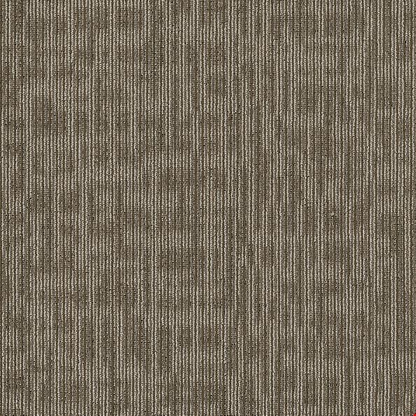 Shaw Genius: Scholarly 24" x 24" Carpet Tile 54844 44705