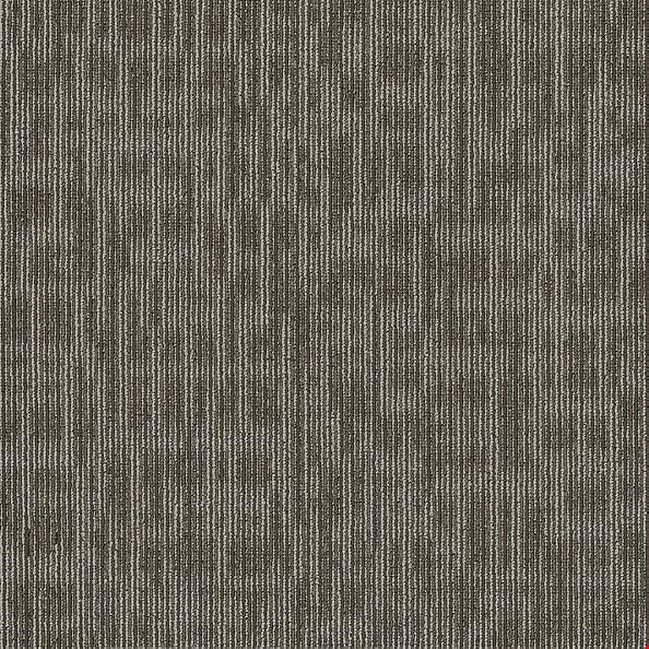 Shaw Genius: Smarts 24" x 24" Carpet Tile 54844 44710