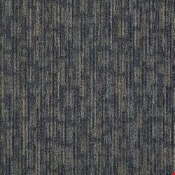 Shaw Hook Up: Jolted 24