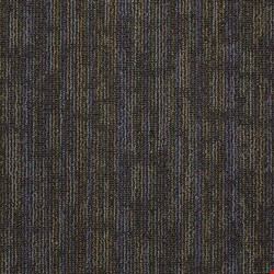 Shaw Hook Up: Magnetize 24