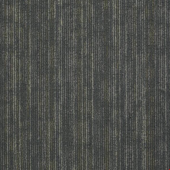 Shaw Hook Up: Shocked 24" x 24" Carpet Tile 54491 91595