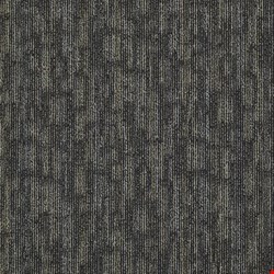 Shaw Hook Up: Spark 24