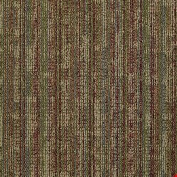 Shaw Hook Up: Juice 24