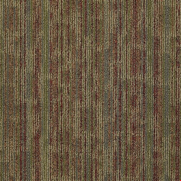 Shaw Hook Up: Juice 24" x 24" Carpet Tile 54491 91690