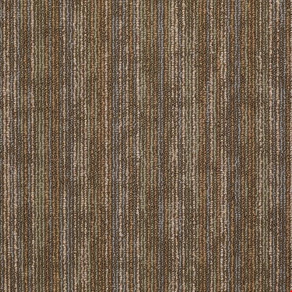 Shaw Hook Up: Energize 24" x 24" Carpet Tile 54491 91790