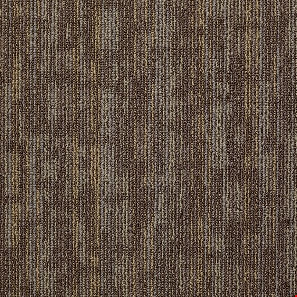 Shaw Hook Up: Charged 24" x 24" Carpet Tile 54491 91791