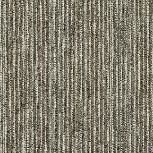 Shaw Intellect: Brilliant 24" x 24" Carpet Tile 54845 45100