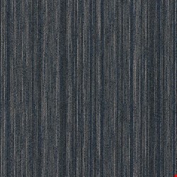 Shaw Intellect: Cleverish 24