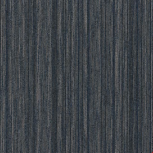 Shaw Intellect: Cleverish 24" x 24" Carpet Tile 54845 45405
