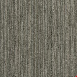 Shaw Intellect: Masterful 24