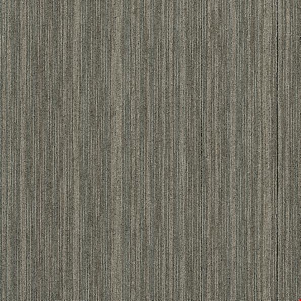 Shaw Intellect: Masterful 24" x 24" Carpet Tile 54845 45505