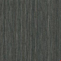 Shaw Intellect: Sharp 24