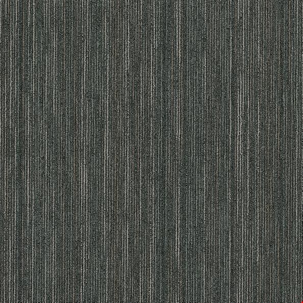 Shaw Intellect: Sharp 24" x 24" Carpet Tile 54845 45515