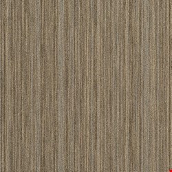 Shaw Intellect: Scholarly 24