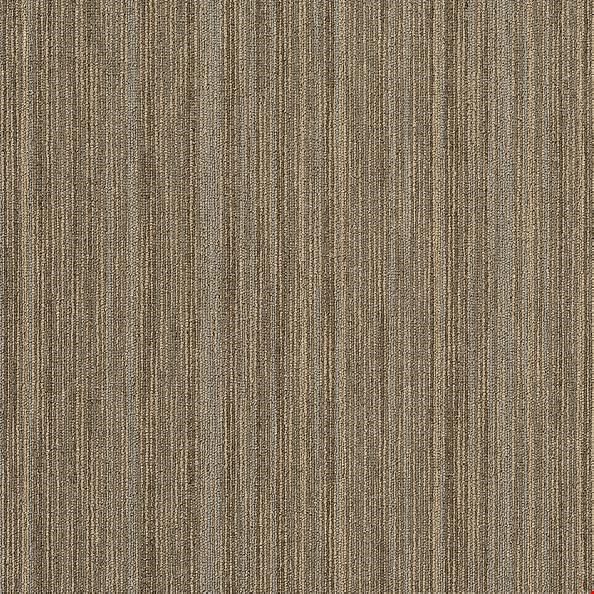 Shaw Intellect: Scholarly 24" x 24" Carpet Tile 54845 45705
