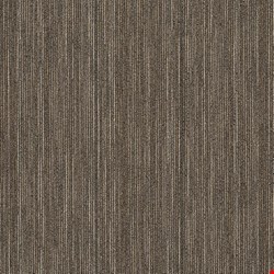 Shaw Intellect: Smarts 24