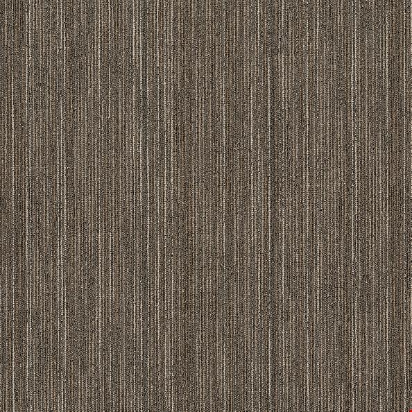 Shaw Intellect: Smarts 24" x 24" Carpet Tile 54845 45710