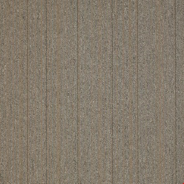 Shaw Lucky Break: Jackpot 24" x 24" Carpet Tile 54734 34110
