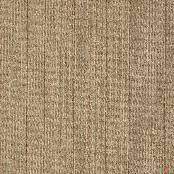 Shaw Lucky Break: Fortunate 24" x 24" Carpet Tile 54734 34205