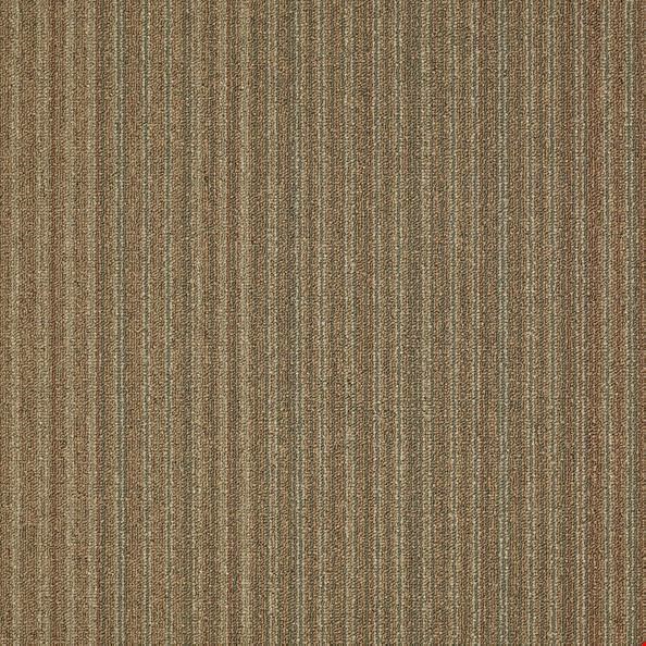 Shaw Lucky Break: Strike It Rich 24" x 24" Carpet Tile 54734 34210