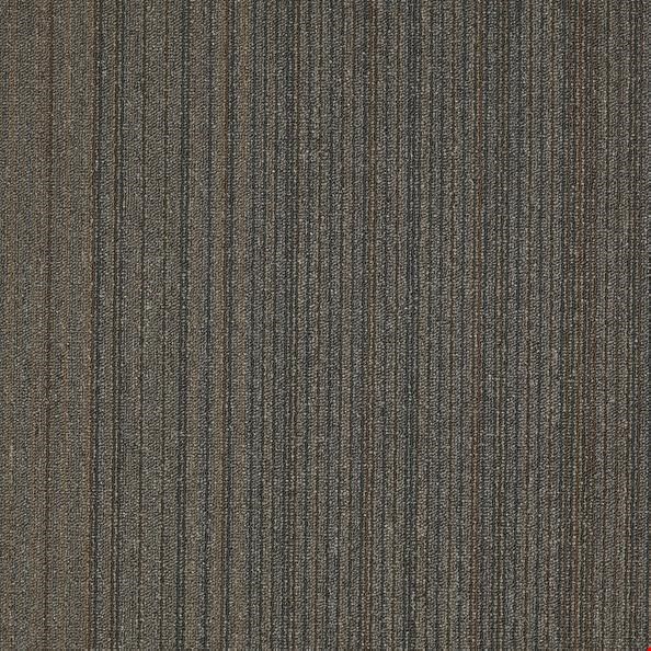 Shaw Lucky Break: Stroke Of Genius 24" x 24" Carpet Tile 54734 34520