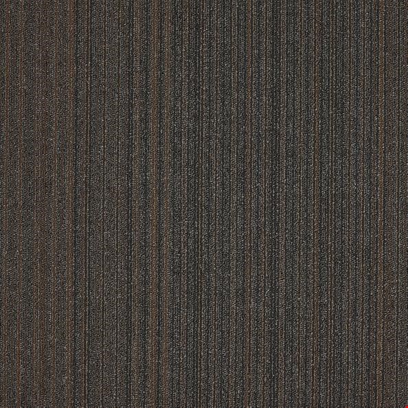 Shaw Lucky Break: Luck Of The Draw 24" x 24" Carpet Tile 54734 34715